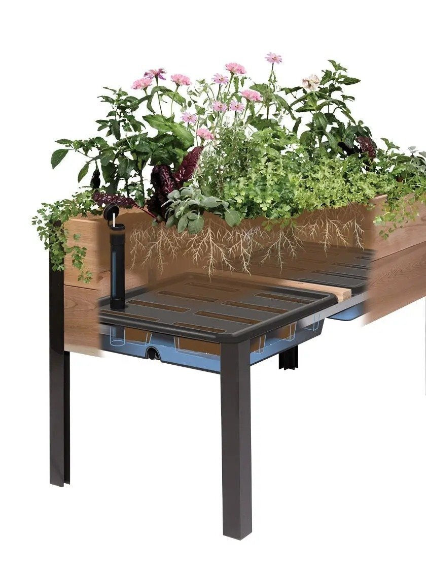 EcoStained Self-Watering Raised Planter Box with Aluminum Legs, Cedar/Cypress, 96 x24 x29