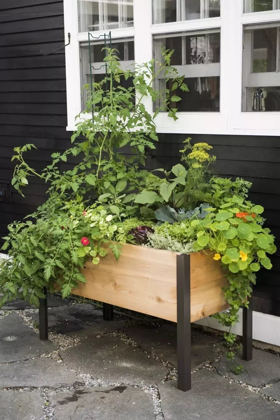 EcoStained Self-Watering Raised Planter Box with Aluminum Legs, Cedar/Cypress, 96 x24 x29