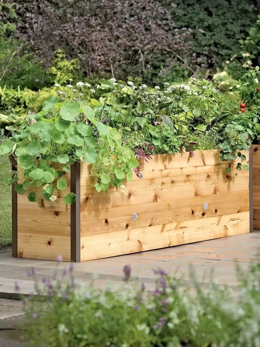EcoStained Self-Watering Raised Planter Box with Aluminum Legs, Cedar/Cypress, 96 x24 x29