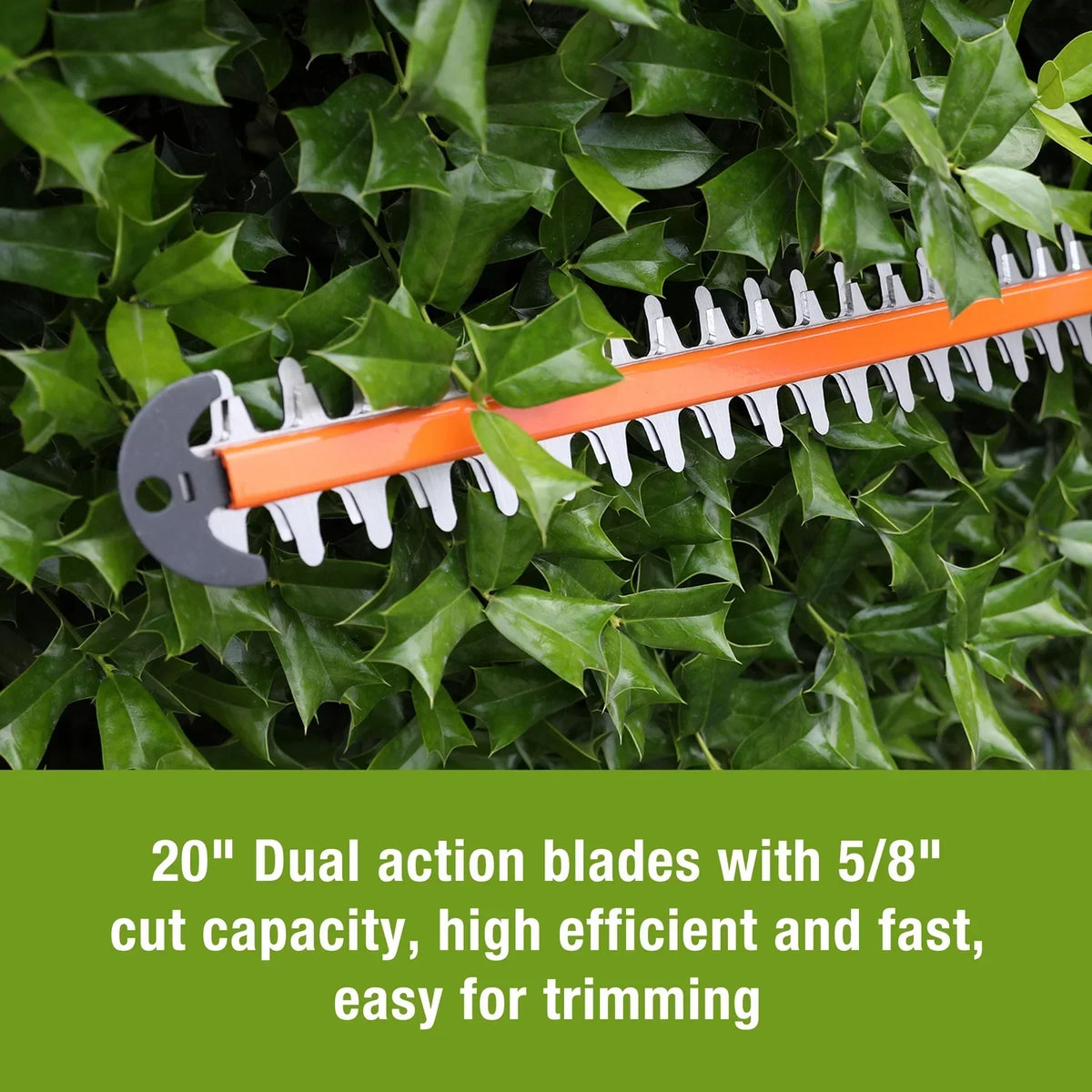 2026 NEW WORKPRO 20V Cordless Hedge Trimmer, 20" Dual Action Blades Electric Hedge Trimmer, with Battery and Charger